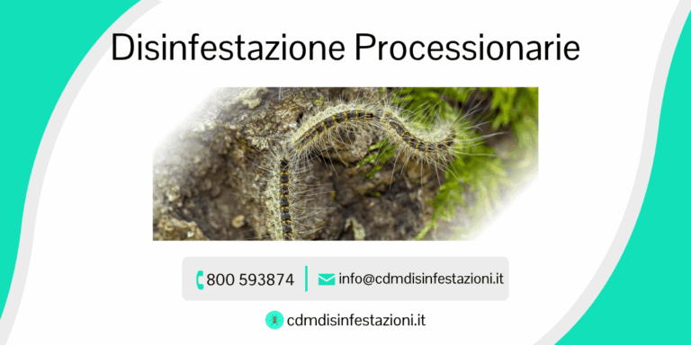 servizio disinfestazione processionarie