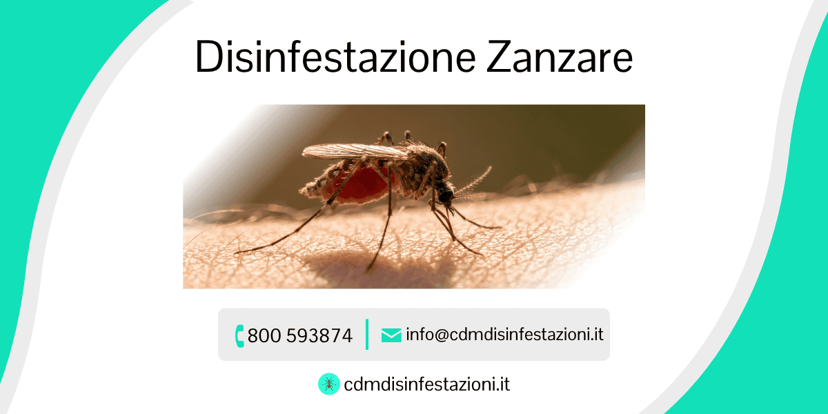servizio di disinfestazione zanzare